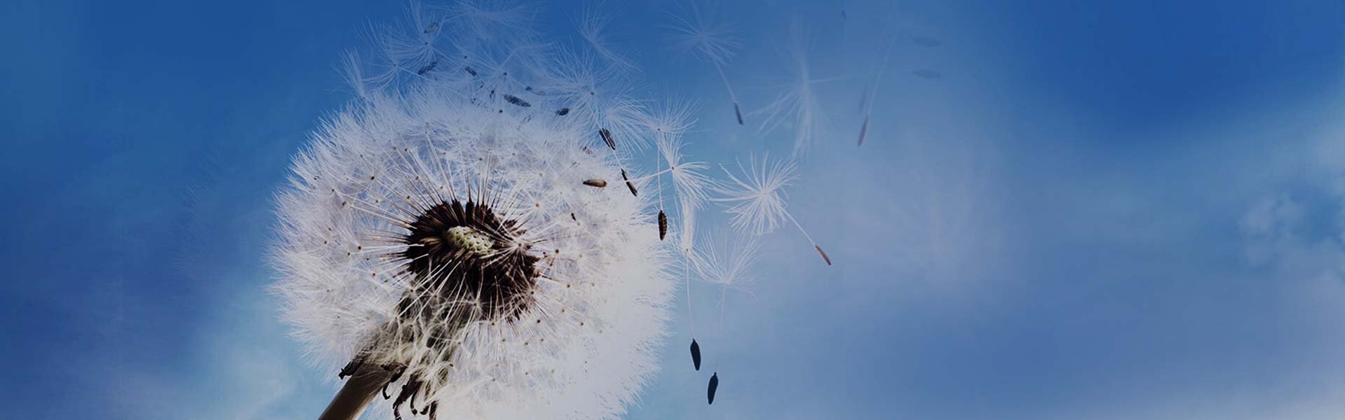 0305c6e20c6c94bf5409e8bed976c1fe